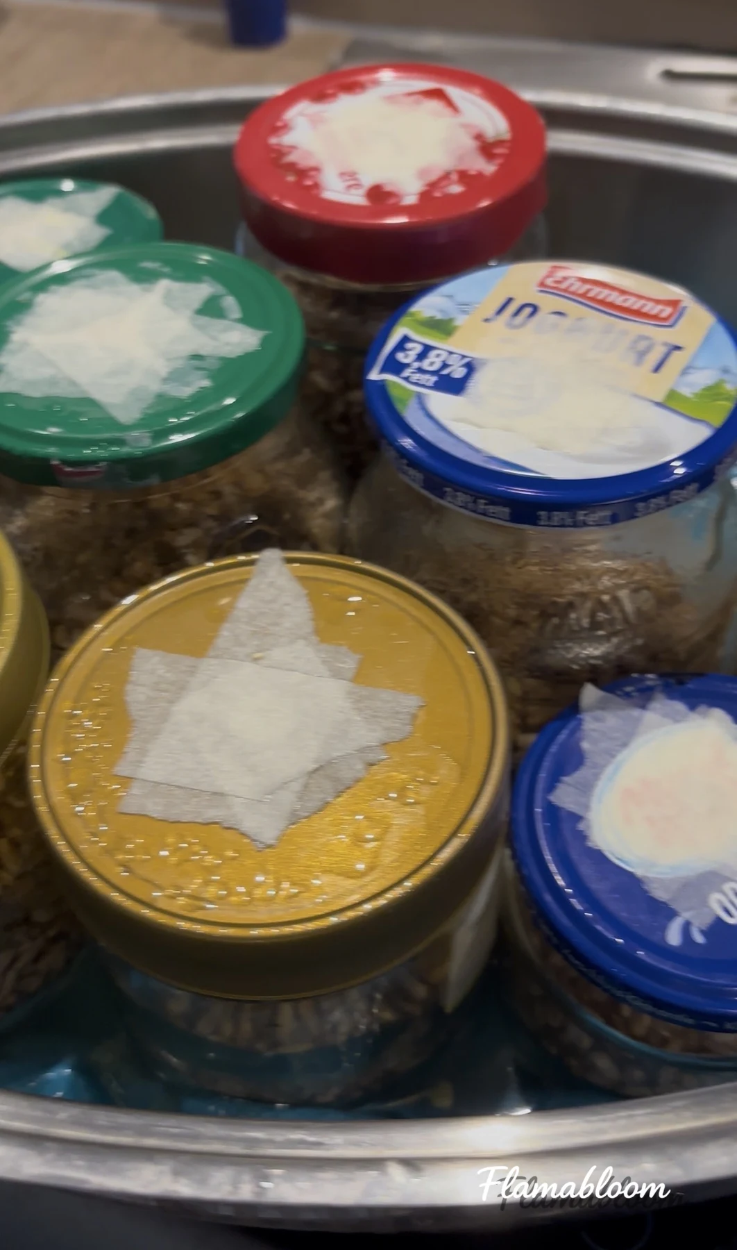 Nhiều lọ hạt lúa mì có nắp lọc khí được đặt trong nồi nước nóng.